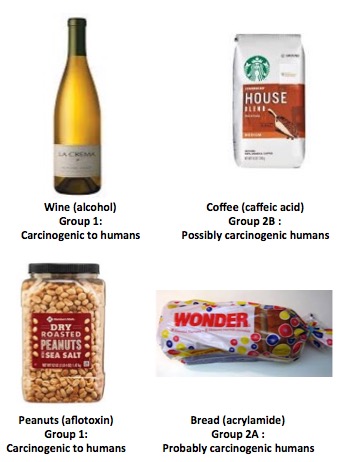 Killer Kemicals In Kitchen Kabinets | American Council on Science and